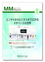 MM Report